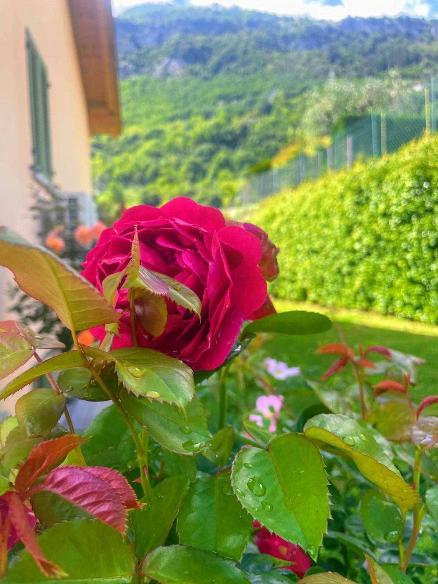 Comacina Villa Côme Esterno foto